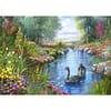 Black Swans Andres Orpinas Puzzel