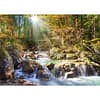 The Forest Stream Puzzel