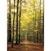 Forest Path Puzzel