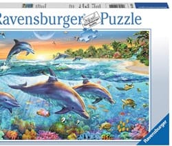 dolfijnenbaai puzzel  stukjes