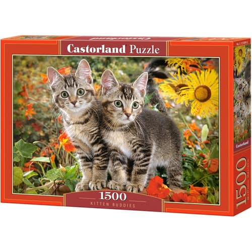 Kitten Buddies Puzzel