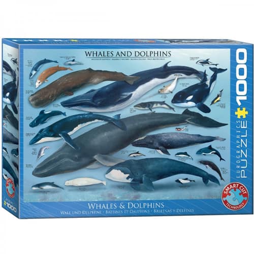 Whales Dolphins Puzzel