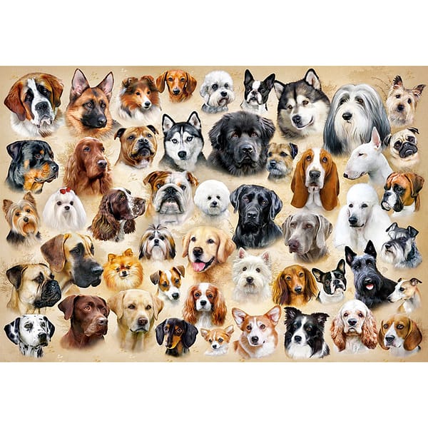 Collage With Dogs Puzzel  stukjes