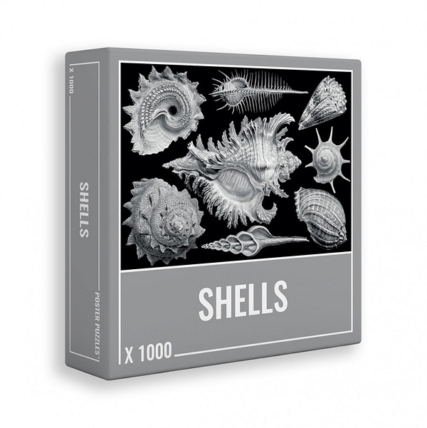 shells puzzel  stukjes