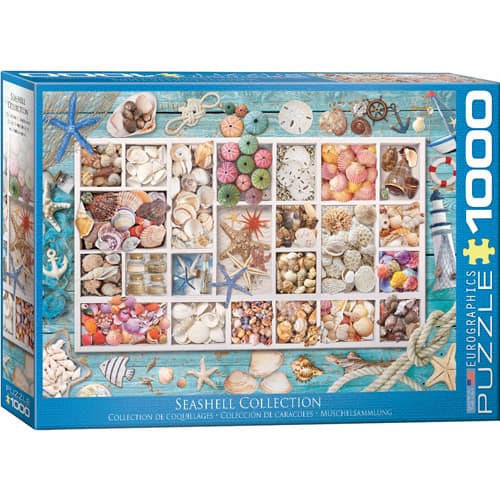 Seashell Collection Puzzel